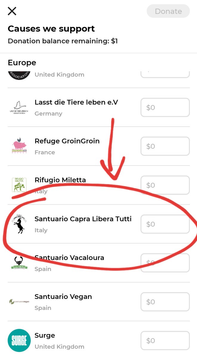 lidbODV's tweet photo. 💥 Our referral code you need to use when signing up is LEIMPRONTEDELBOSCO 

💥 And a good non-profit on the list you can donate your Abillion dollars to is Santuario Capra Libera Tutti.
By donating your credits to them, you help us too! https://t.co/iEV2LVPBaQ