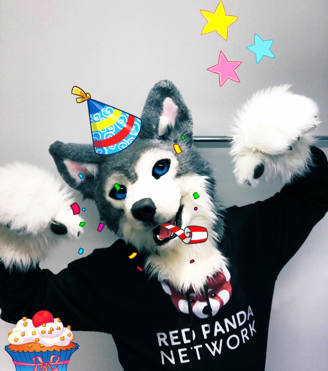 JacktheWusky's tweet photo. Hurray! Today is my cake day! This year I’m donating all my gifted money to @RedPandaNetwork 

Thats because the red panda has been struggling lately and is very endangered. They really need our help! 

Let’s help these cuties out so they don’t go the way of the dodo! https://t.co/KQuid6pnoG