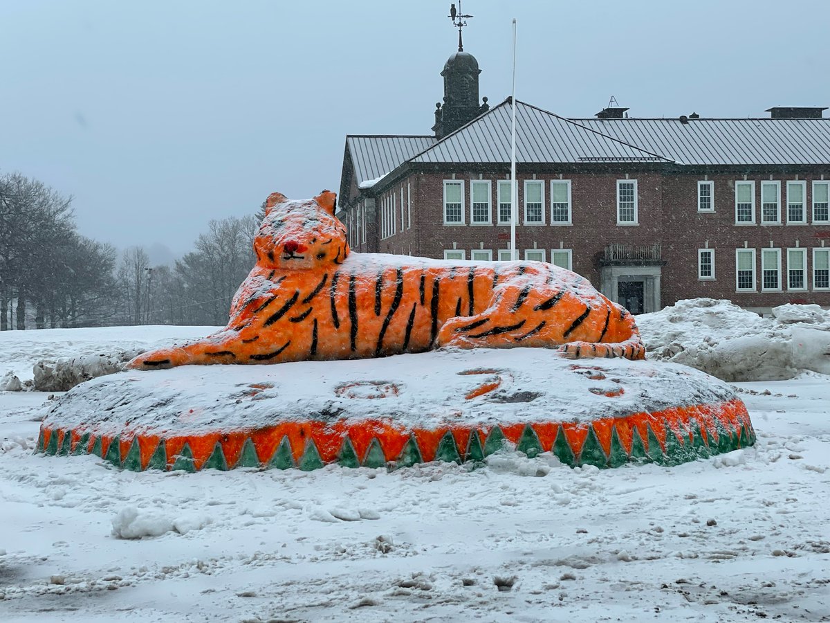MHLinfo's tweet photo. Take a look at these amazing snow sculptures created by the Greenville High School students for their Winter Carnival!!! https://t.co/9tqQKUn7sK