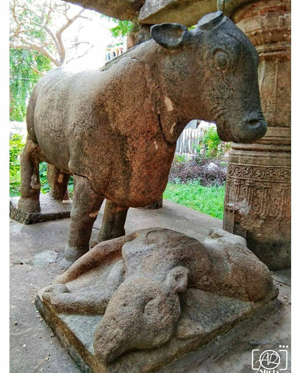 Amanbhandari404's tweet photo. King ManuNeedhi Chozha (205 BC to 161 BC) was a Chozha king who ruled Thiruvarur in Tamilnadu.

He hung a huge bell in front of his palace and announced that anyone seeking justice could ring the bell and their voice will be heard.

https://t.co/UW53YJ7tU8 https://t.co/XQ30N2pEQC