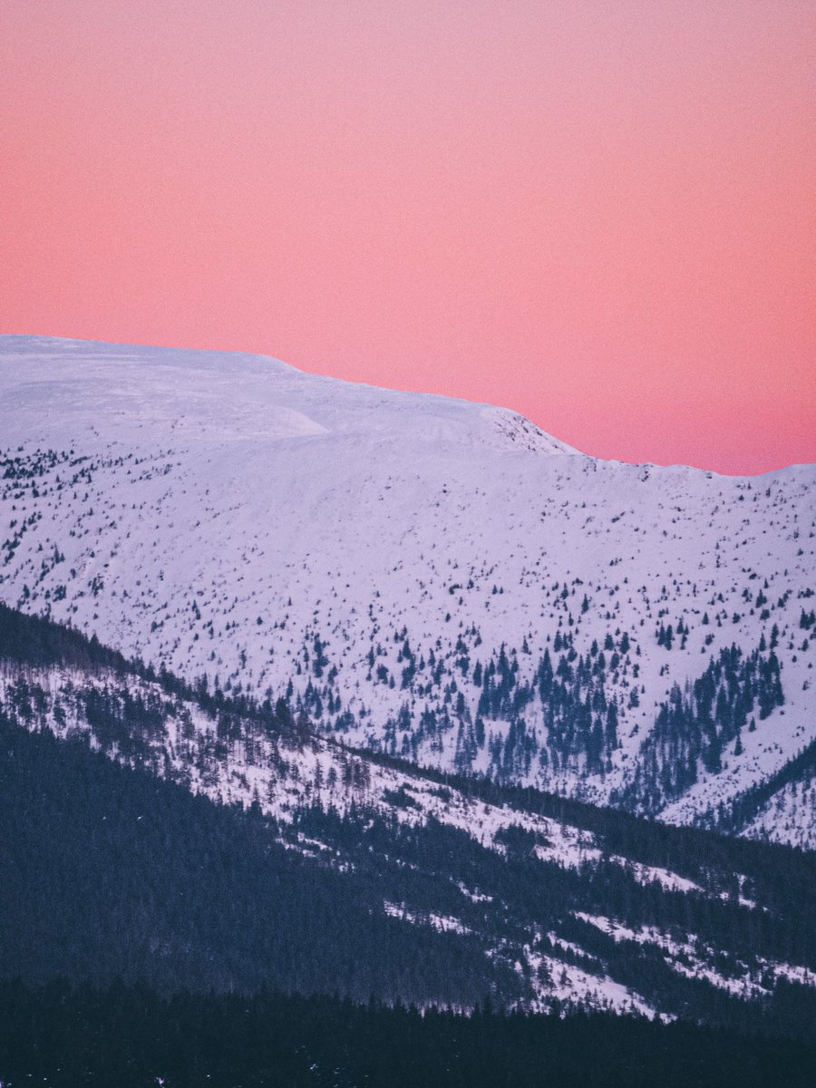 Honza Řeháček tweet media