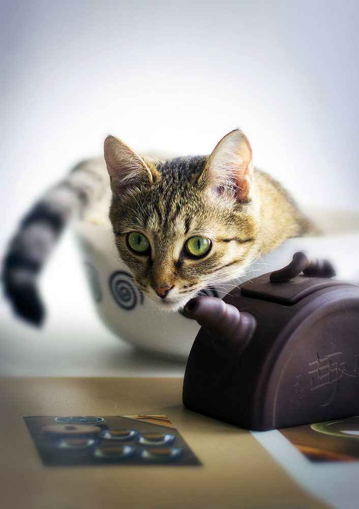 Photographer (@photo5065) on Twitter photo 