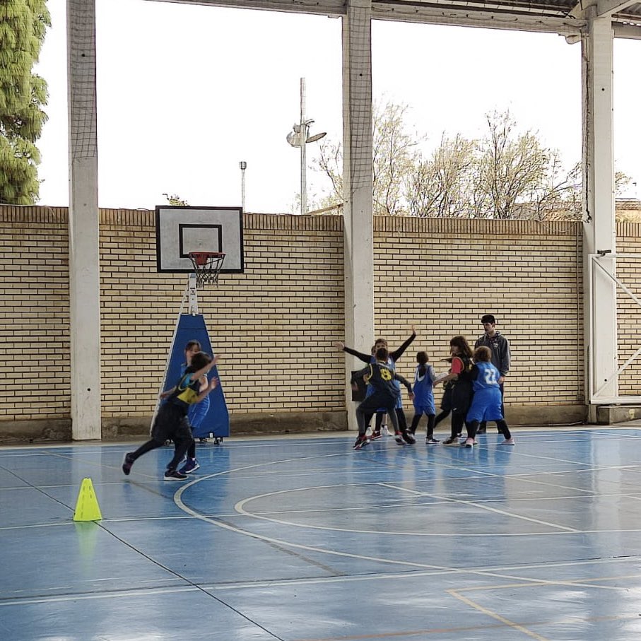 AfaMdc's tweet photo. Que concentrats estaven els nostres nois i noies abans del partit contra la Seda d'aquesta setmana 🏀 

Sou un gran equip!!!

@escolamdcprat @GegantsMDC https://t.co/3NbxVTNeVd