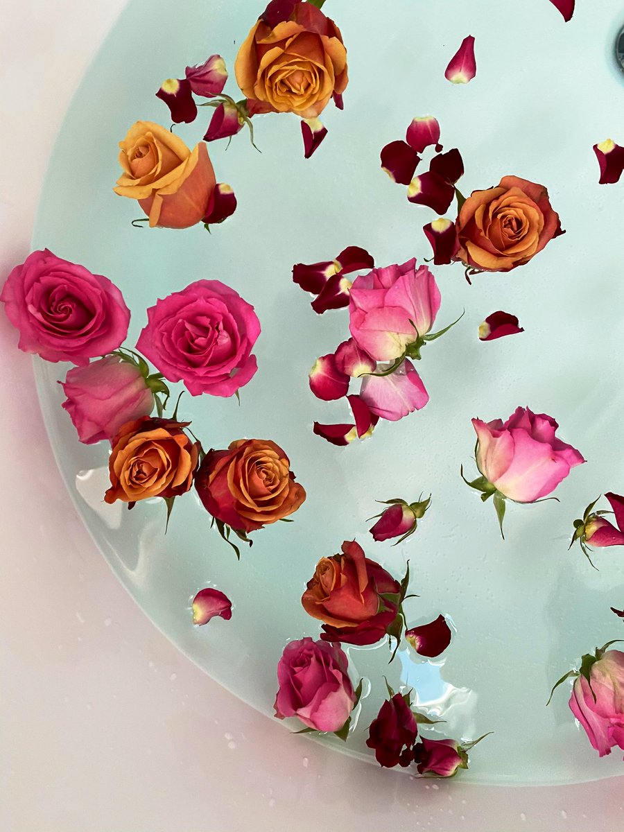 oceanandroseco's tweet photo. Raise your frequency with Fresh Roses in your bath. https://t.co/4FTHXemVJg