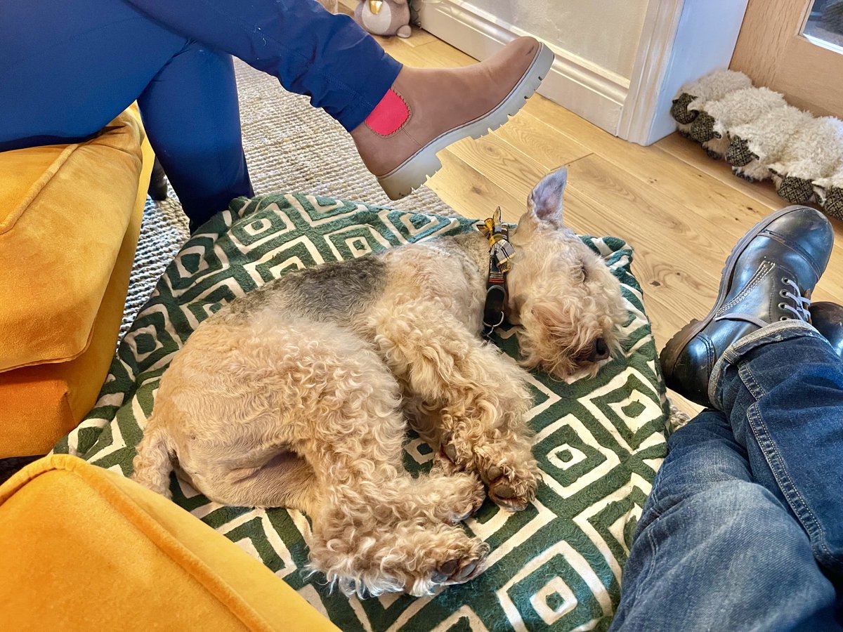 Bertie Lakeland tweet media