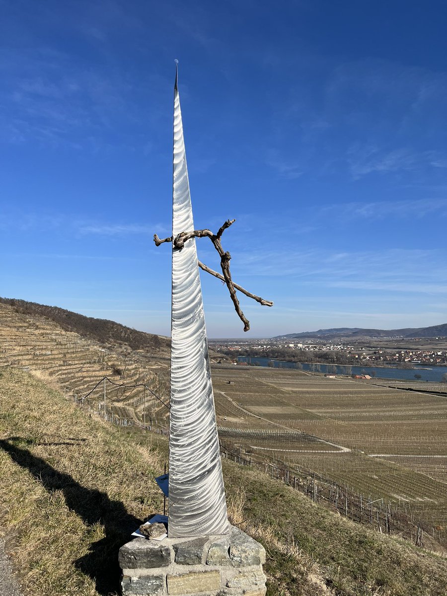 HerrDackel's tweet image. Heute kleine Runde auf einem #Wachauer #Weinberg gemacht🥰