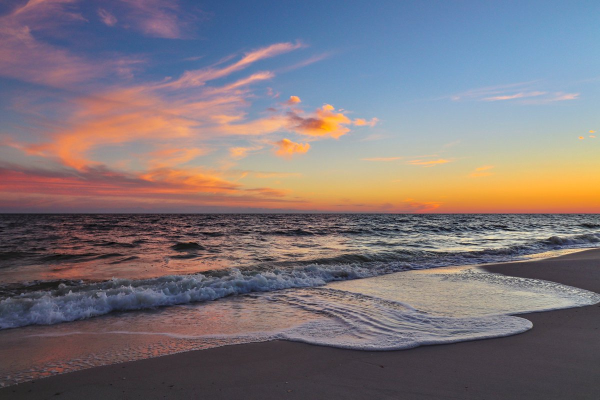 Perri Ormont Blumberg tweet media