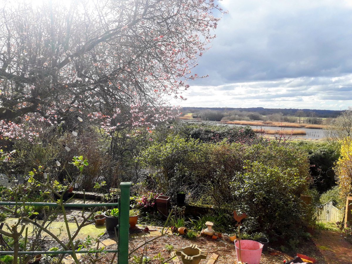 FletchHort's tweet photo. A garden with a view! A real pleasure to do some work in this lovely spot today ☀️🌱🌺 https://t.co/iZqfmQivwO