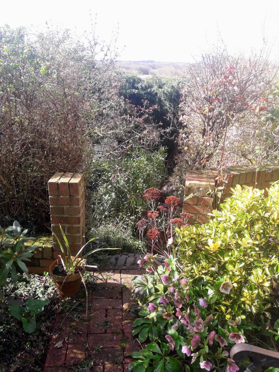 FletchHort's tweet photo. A garden with a view! A real pleasure to do some work in this lovely spot today ☀️🌱🌺 https://t.co/iZqfmQivwO