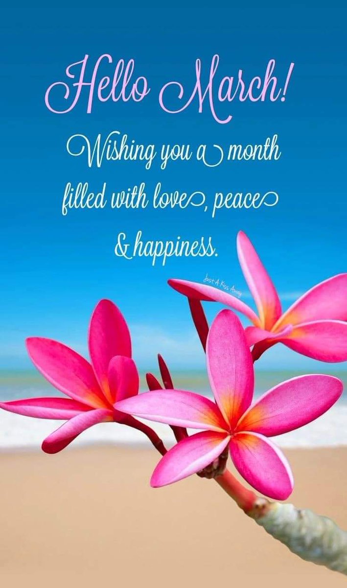 Michelle⚘💫🌟🌞 tweet media