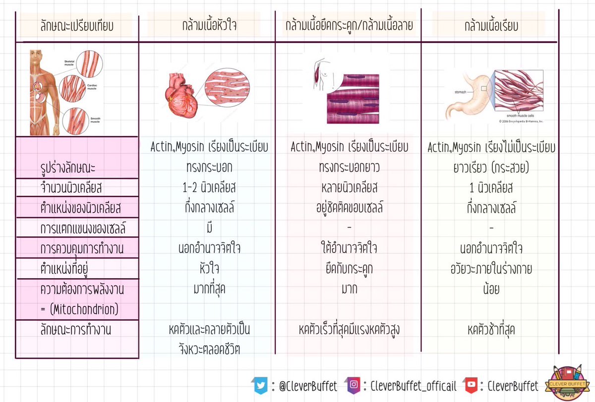 CleverBuffet's tweet photo. ดูอันนี้ด้วยจ้าาาาาาาา #DEK65 #GATPAT65 #PAT2 https://t.co/qtfKuy3B4u