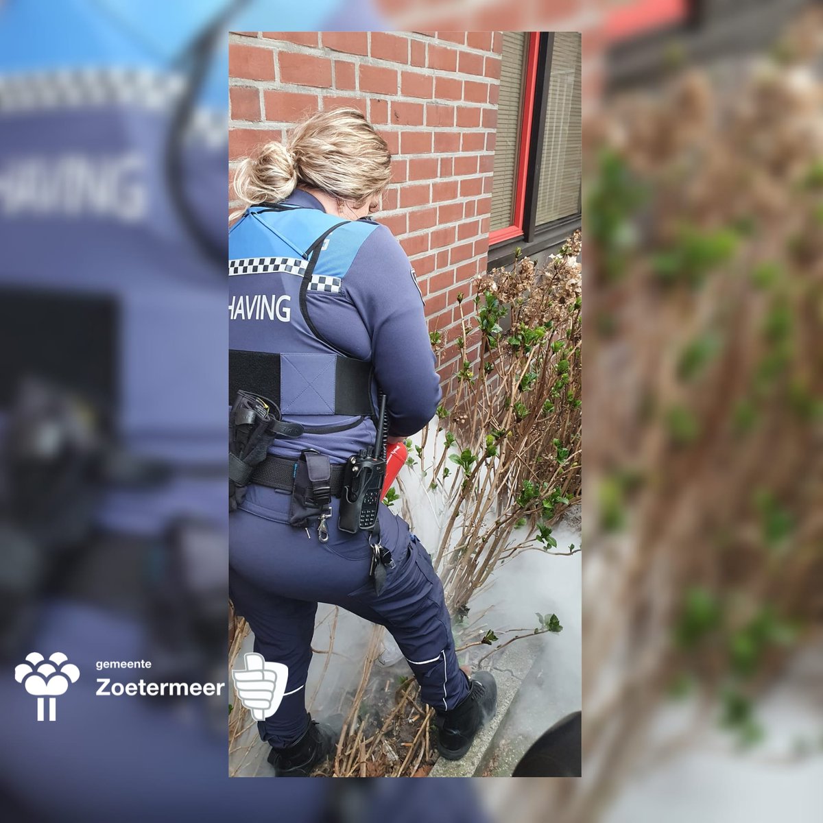 THHZoetermeer's tweet photo. Team Handhaving ontving vandaag via de meldkamer een melding van een boom die lichtjes stond te branden. 

Ter plaatse achtte de collega's het nodig deze te blussen. De boomstronk lag gelegen in een groenomgeving met nog meer takken, groen. Dit is brandgevaarlijk [1\2] https://t.co/xaJ9ZstUPb