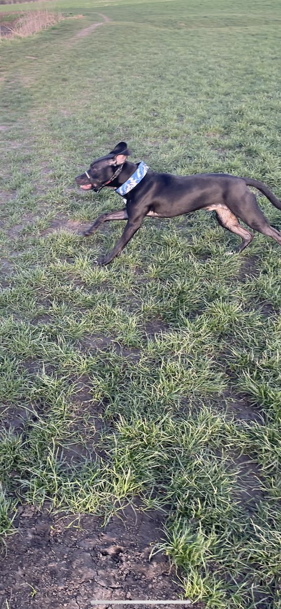 Making friends 😍❤️