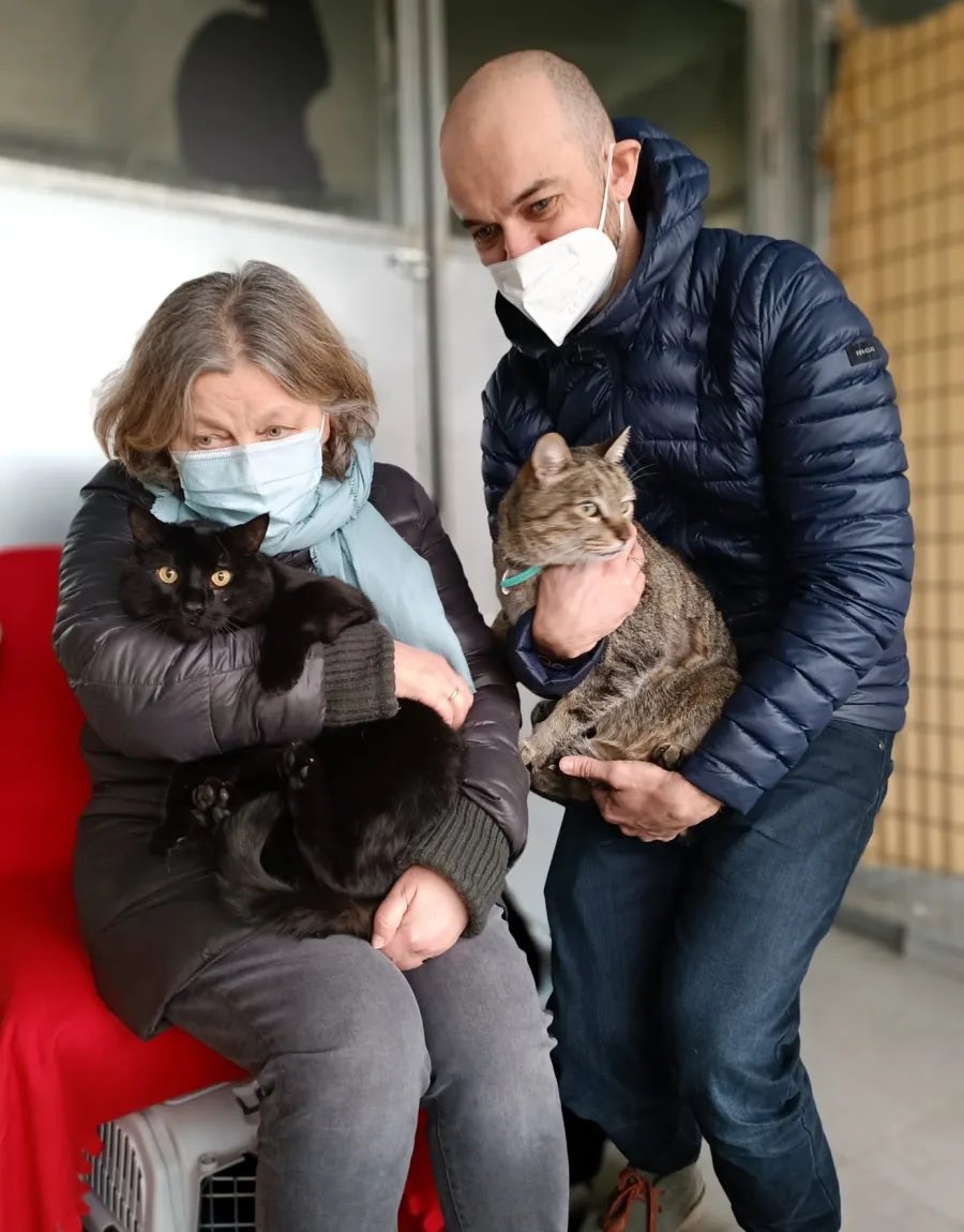 enpaonlus's tweet photo. Remi, Elliott e Basho sono al sicuro nel rifugio di Enpa Monza. Li ha portati in salvo Iryna, da Kiev. Costretta a lasciare l’Ucraina, ha portato con sé i suoi gatti. Li ospitiamo volentieri per il periodo di osservazione sanitaria. https://t.co/5EcXjw1izW #RussiaUkraineConflict https://t.co/B9oxYQ0CGZ