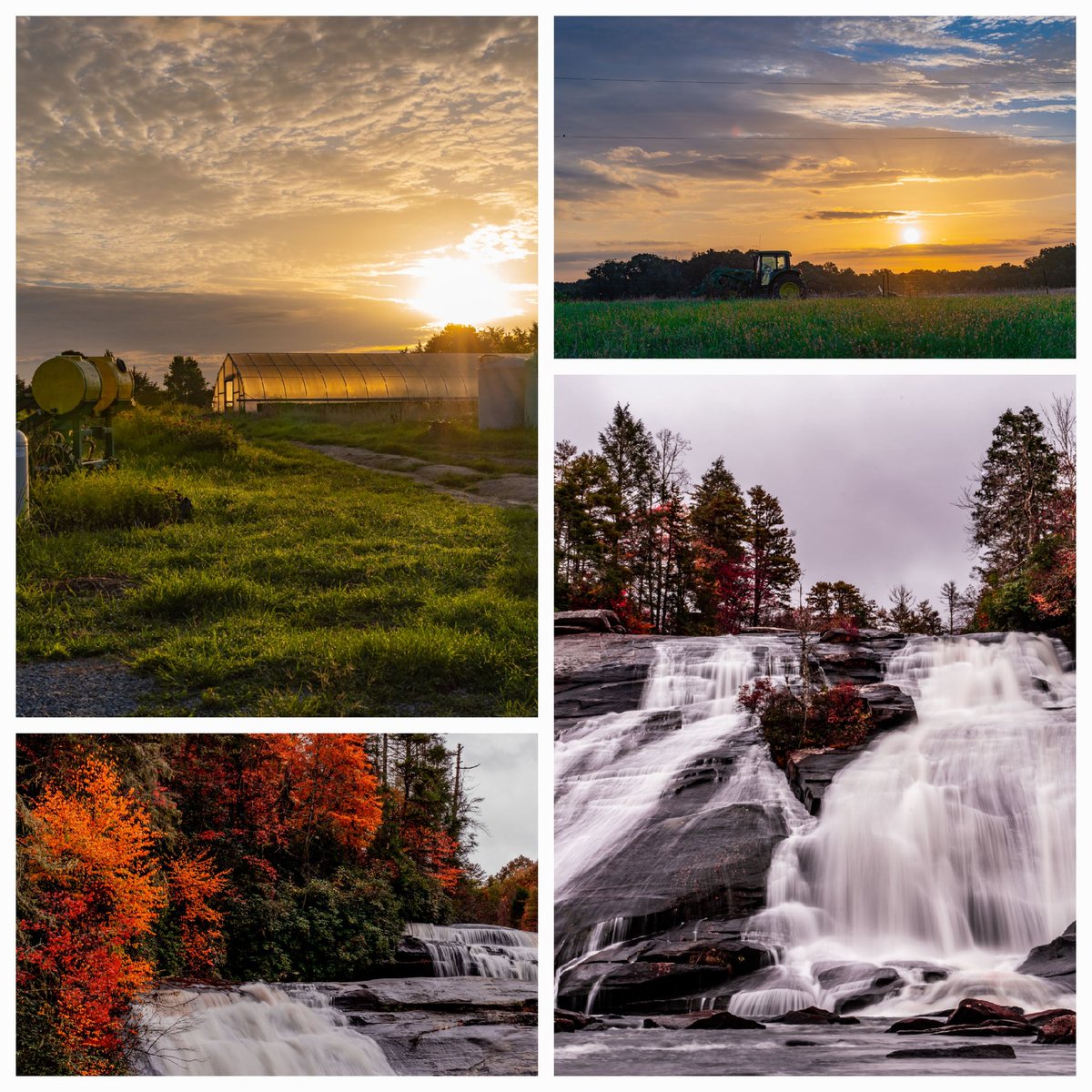 Ryan Allen tweet media