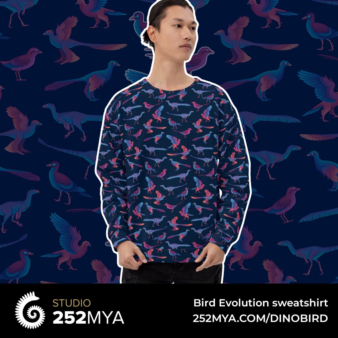 studio252mya's tweet photo. A fun pattern showing some of the stages in the evolution of non-avian theropod dinosaurs into full fletched birds. 

#Coelurosauria > #Maniraptora > #Paraves > #Eumaniraptora > #Euavialae > #Ornithothoraces > #Aves

https://t.co/LfcxQOkybj

Design by @GrecoWestermann 

#paleoart https://t.co/f06nD9Y3OA