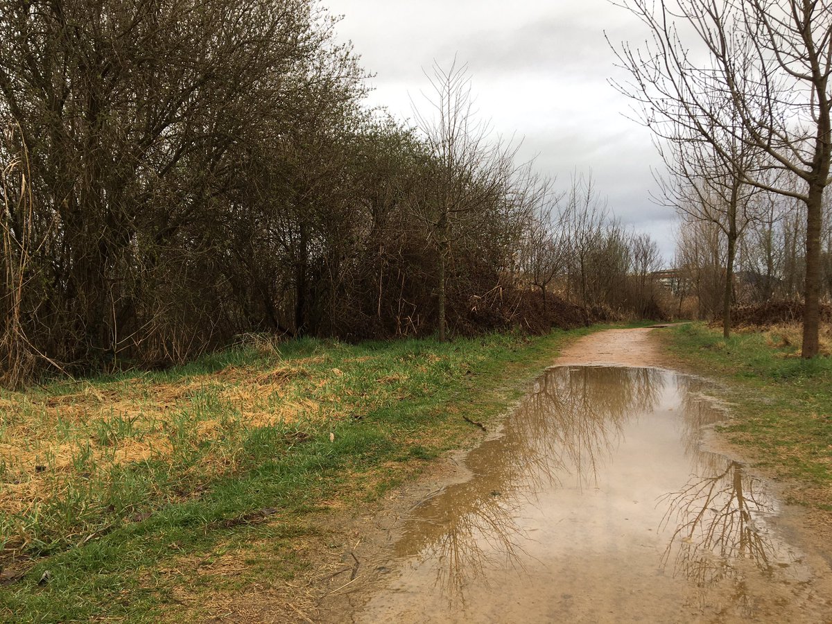 vic_mediambient's tweet photo. Benvinguda pluja just abans de l’esclat primavera🌧🌧
Ja tenim la vegetació de #AnellaVerdaVic apunt i amb ganes de començar un nou cicle🌿
📷flors masculines del vern (aments) #alnusglutinosa
📷brots de saüc #sambucusnigra
📷brots d’àlber #populusalba https://t.co/7ED6fxq1fn