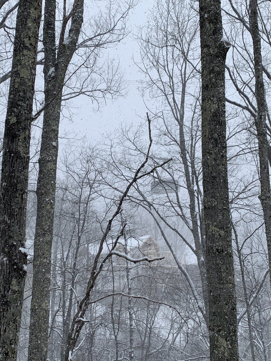 JasonOShell's tweet image. Enjoying this late season snow from the mountain. Got 7+ on Ski Mountain for a memorable weekend with friends! ❄️