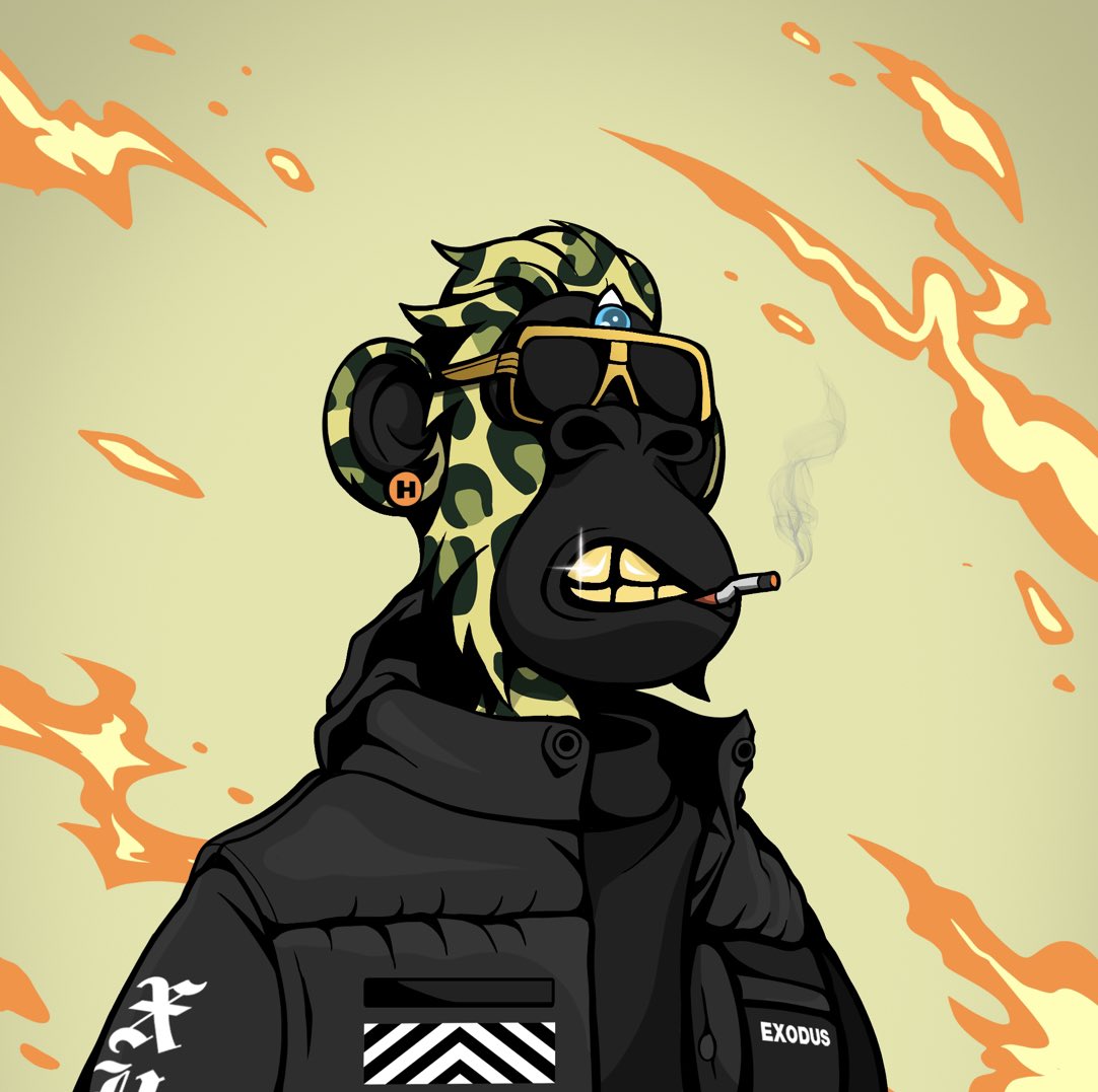 zodd_immortal's tweet photo. this is 🔥 
new ALPHA HAPES minting

@EXOHAPEGANG https://t.co/MtaB7whInQ