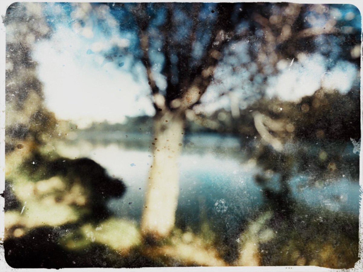 🚶🏻‍♂️Riccardo tweet media