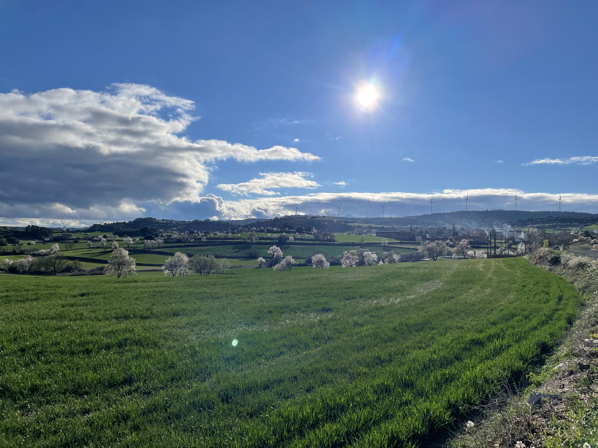 laiamuse's tweet photo. Aprofitant la tarda de #cau de #calaf i la treva meteorològica per caminar. Volta Calaf - Sant Martí de Sesgueioles - Calaf #anoia #anoiaturisme #altasegarra #turismecalaf #altaanoia https://t.co/89bdFDrBMZ
