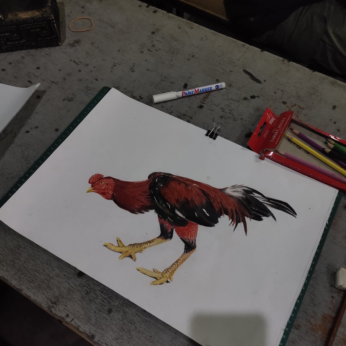Hobs Studio tweet media