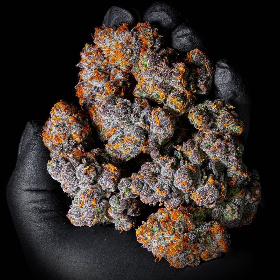 WeedGolD tweet media