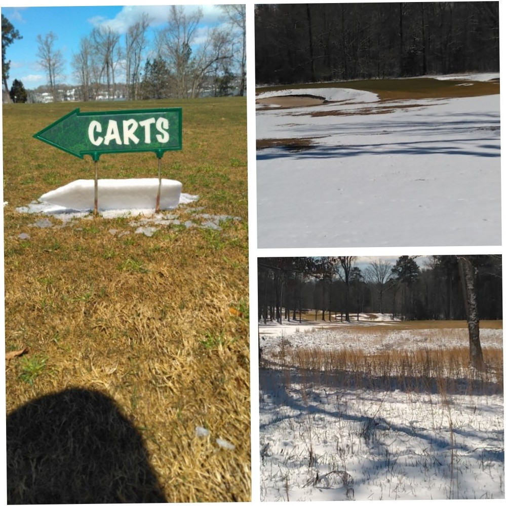 A few pics from <a href="/BearTraceHB/">Bear Trace @ HB</a>  @StormTrackBrian