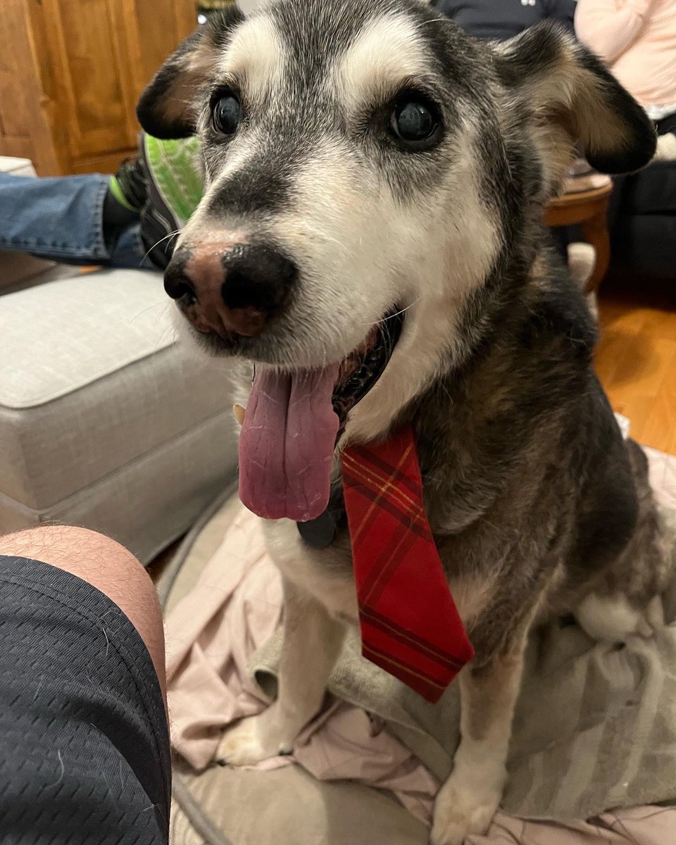 ItsBrettLewis's tweet photo. Thank you for letting me be your co-pilot, Captain. I hope you enjoyed the ride. ❤️ https://t.co/y2q2Wleiac