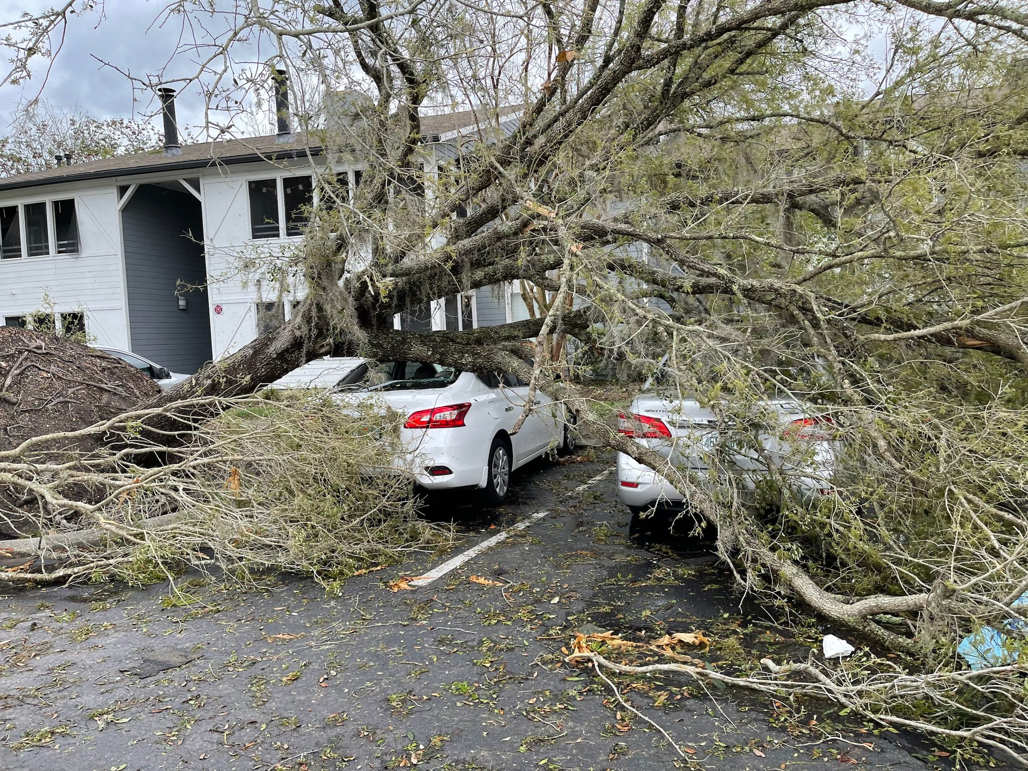 Kevin Guthrie on Twitter "I am on the ground in Ocala, Florida where a