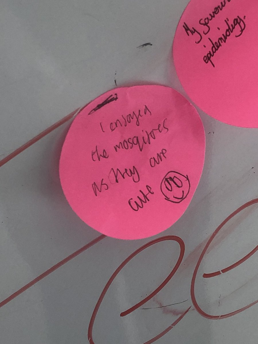 STEM public engagement day for south london girl guides was a success and my favourite feedback of the day 🦟 😅