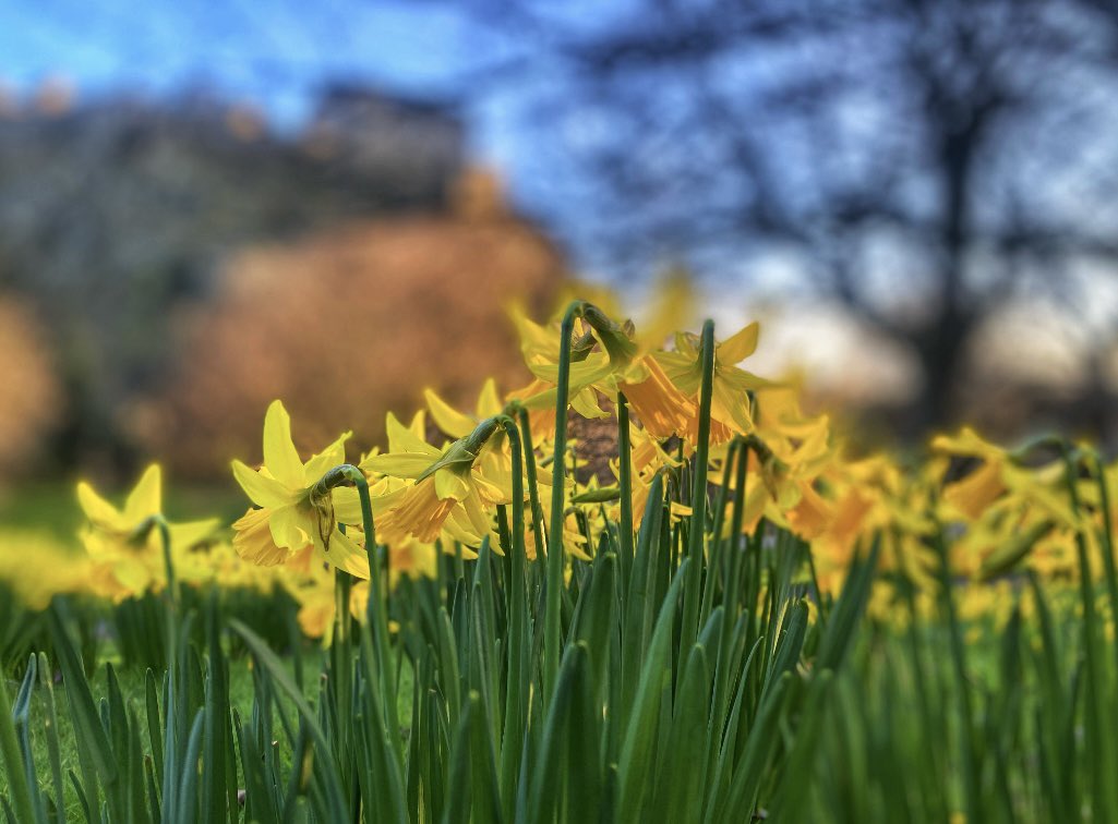 Jo Edwards tweet media