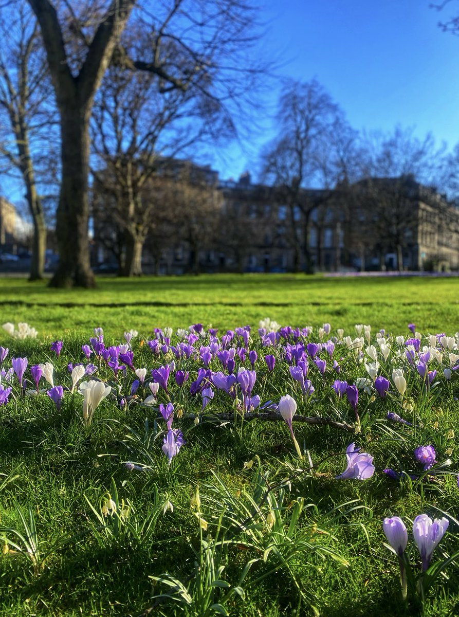 Jo Edwards tweet media