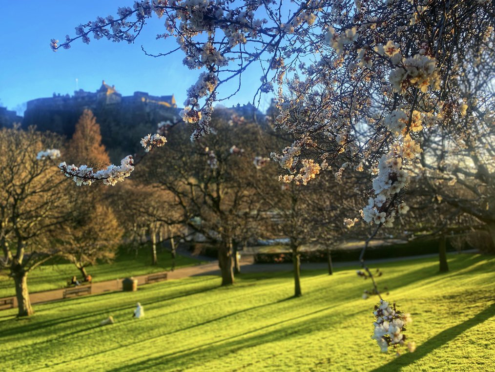 Jo Edwards tweet media