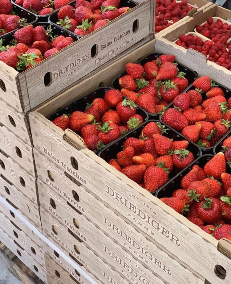 pradaamoon's tweet photo. strawberries &amp; pastries https://t.co/PBqb9CZTXv