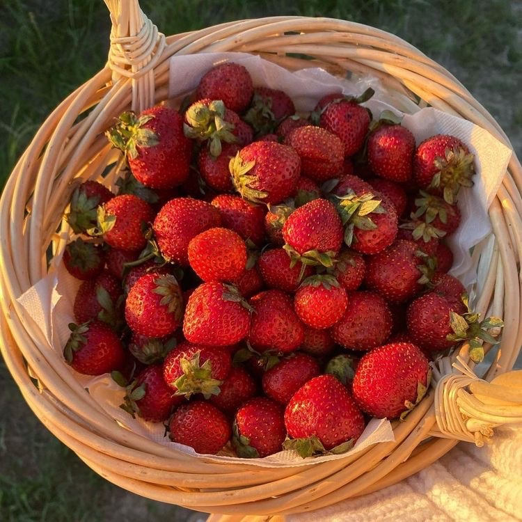 pradaamoon's tweet photo. strawberries &amp; pastries https://t.co/PBqb9CZTXv