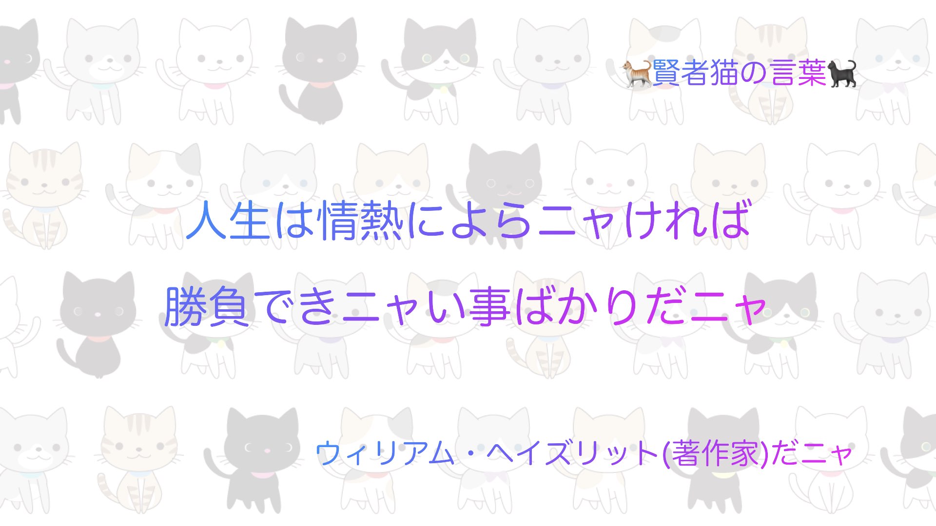 猫 賢者猫の言葉 名言 Philosophers Ca Twitter