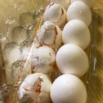 冷蔵庫を開けると、無造作に突っ込んでいた卵パックが落下!これはセーフなのか？？