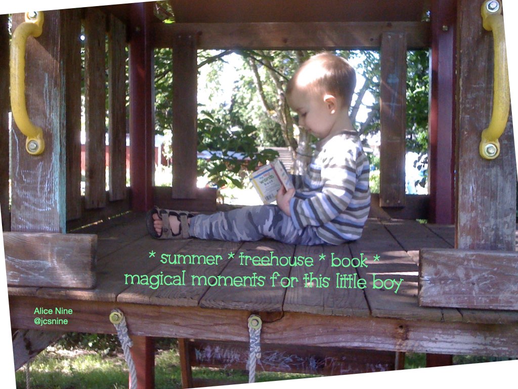 jcsnine's tweet photo. a summer day
a shady treehouse
a special book
make magical moments
#reading
#JCSpell https://t.co/utqzIWzbdC