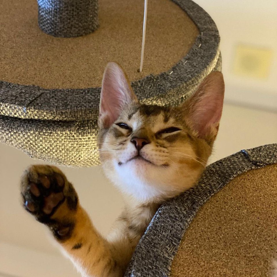 ป๊า ♡ น้องออน