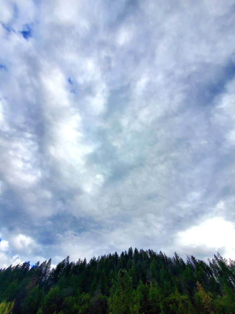 _AlleyAwesome's tweet image. Here comes the storm @ShastaTrinityNF #trinityco #dc #rurallife