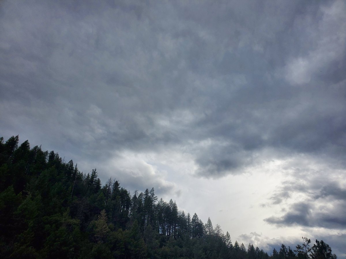 _AlleyAwesome's tweet image. Here comes the storm @ShastaTrinityNF #trinityco #dc #rurallife
