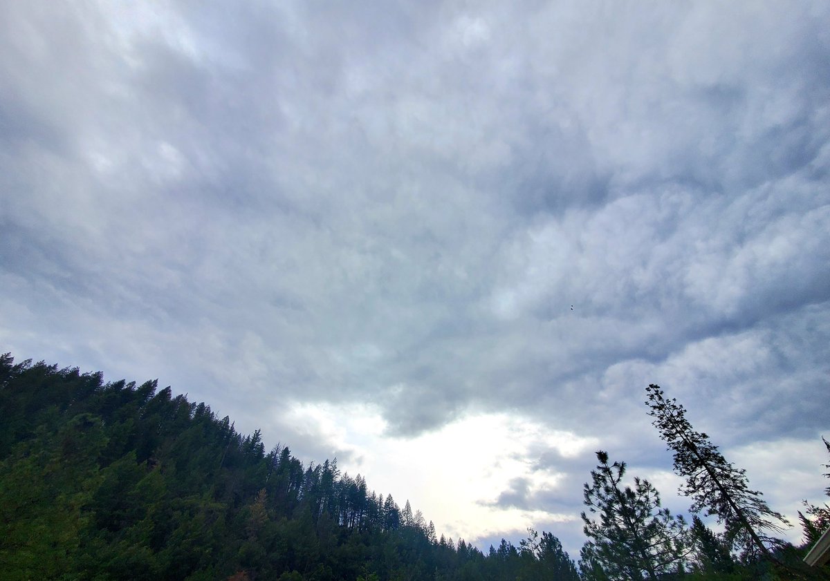 _AlleyAwesome's tweet image. Here comes the storm @ShastaTrinityNF #trinityco #dc #rurallife