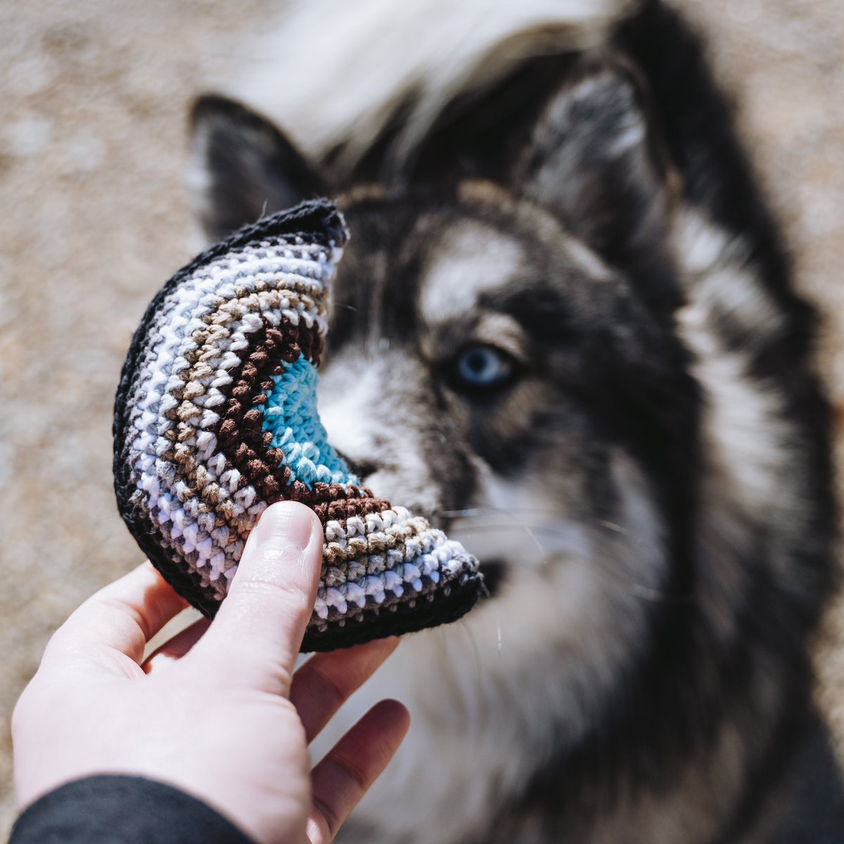 Courtney | The Knitted Arrow tweet media