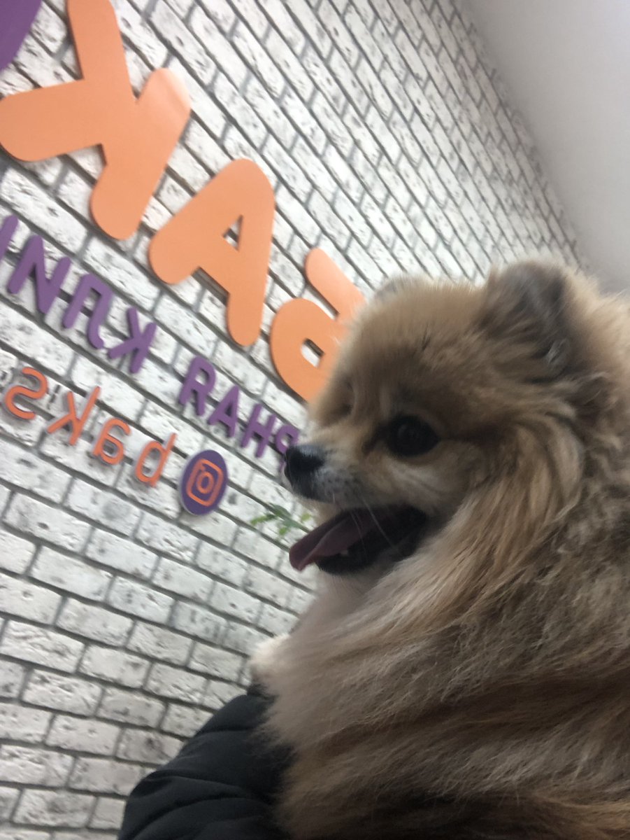 schipaaa's tweet photo. Как проходят ваши 4-5 утра 🥲
По нему не особо заметно, но он час блевал кровью и вытерпел много уколов… https://t.co/QjAvZrNBPc