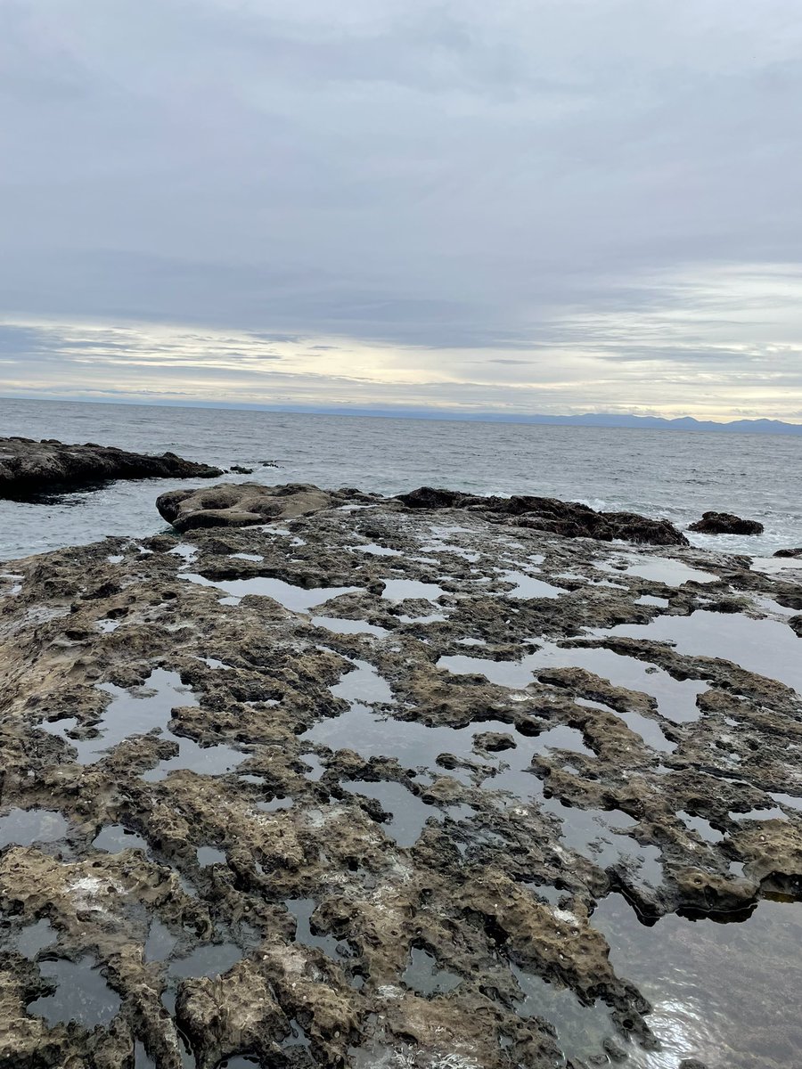 sessionshigh's tweet photo. The team is out on Vancouver Island this week working with some of the killer micro-cultivators out here. 

Shoutout to @SitkaWeed #craftkings #quadessence for the hospitality and the fire smoke while we’ve been here!

#bcbud #craftcannabis #islandgrown https://t.co/PufqWz5wBB