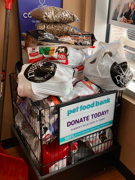 Sacredanimal_'s tweet photo. We received these #donations from our friends at Pet Valu Namao Centre and their customers! #Thankyou so much! ❤️
#APetsPantry #APP #yeg #petfoodbank #communitysponsor https://t.co/j788H4zmfh