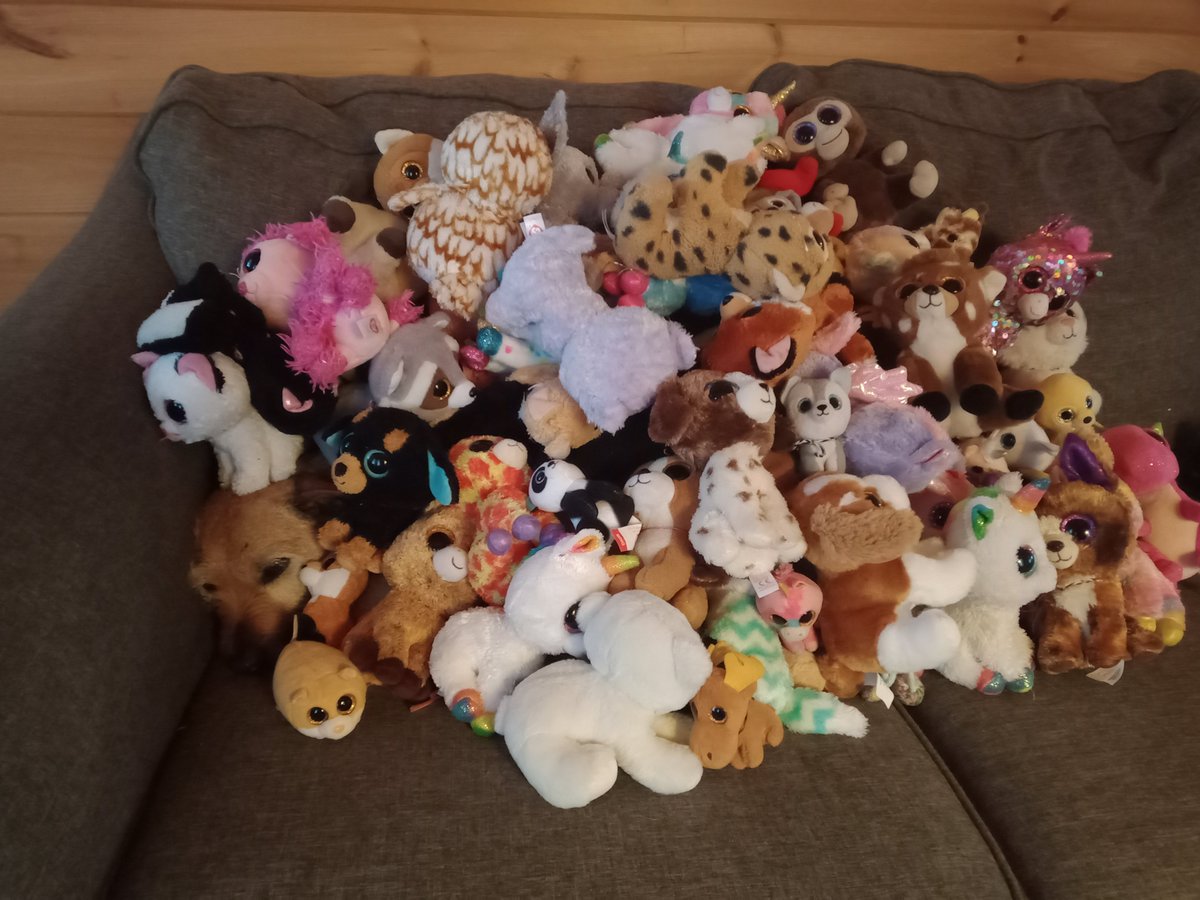 wilsonjohn's tweet photo. find the actual dog https://t.co/soRgOAThXh