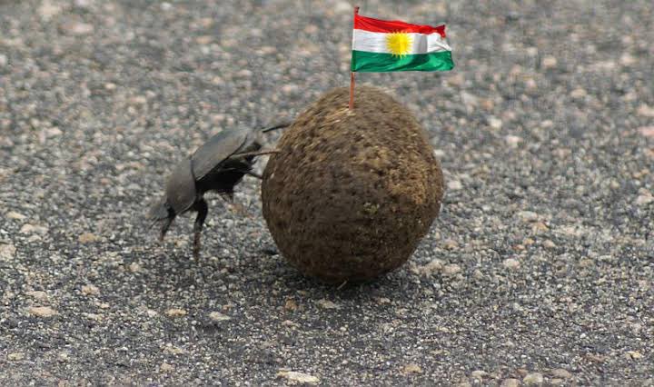 gkhnttrr's tweet photo. @akose1980 @BNONews There you go Kurdistan 🖕🏼 https://t.co/LneZF49Qu8