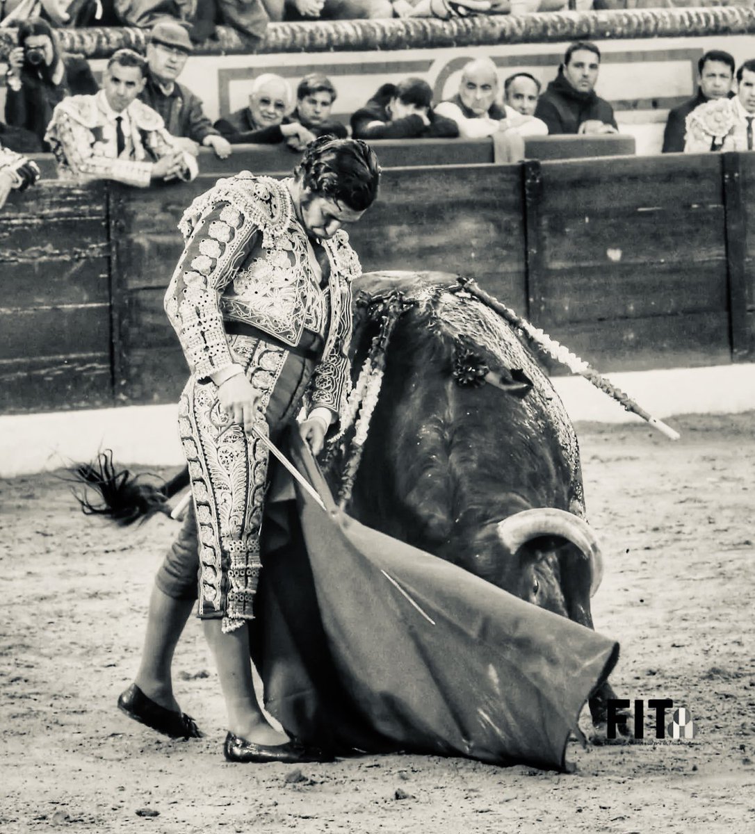 tauroleve's tweet photo. @MoranteTour na Praça de Toiros Palha Blanco dia 5 de outubro - Vila Franca de Xira https://t.co/jH17U63LGj